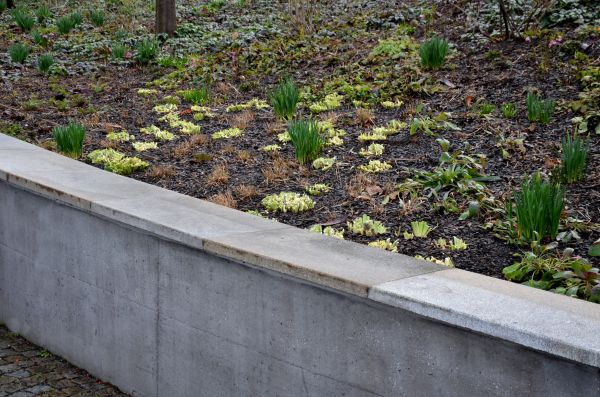 Concrete Wall Construction in Anderson
