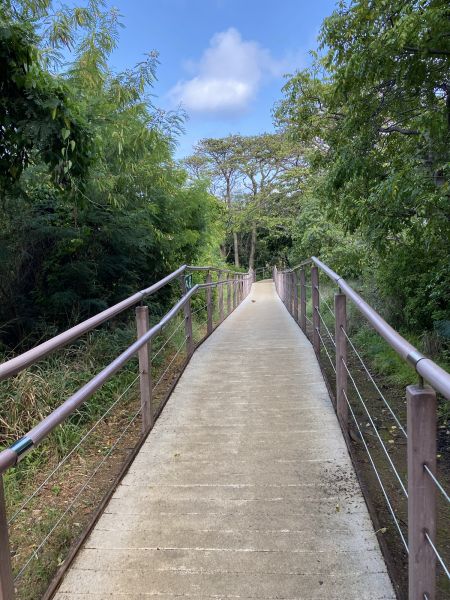 Footpath Construction in Anderson