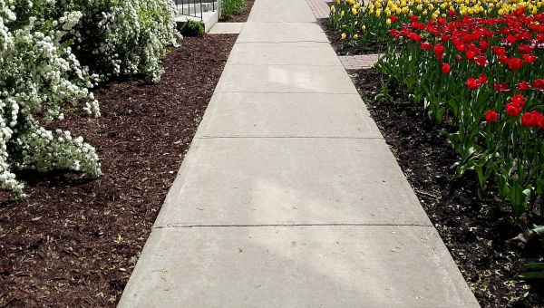 Sidewalk Slab Replacement in Anderson